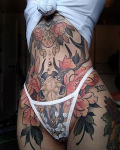 Череп животного