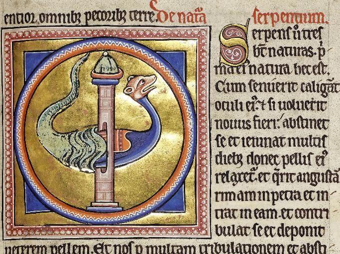 Абердинский бестиарий, то есть «тесными вратами» (Мф, 7:13)