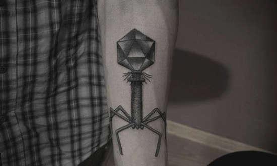 Bacteriophage