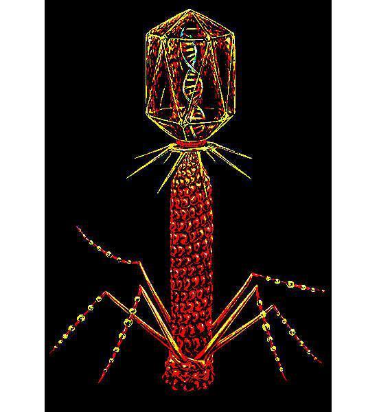 Тату без паники в эпидемию коронавируса