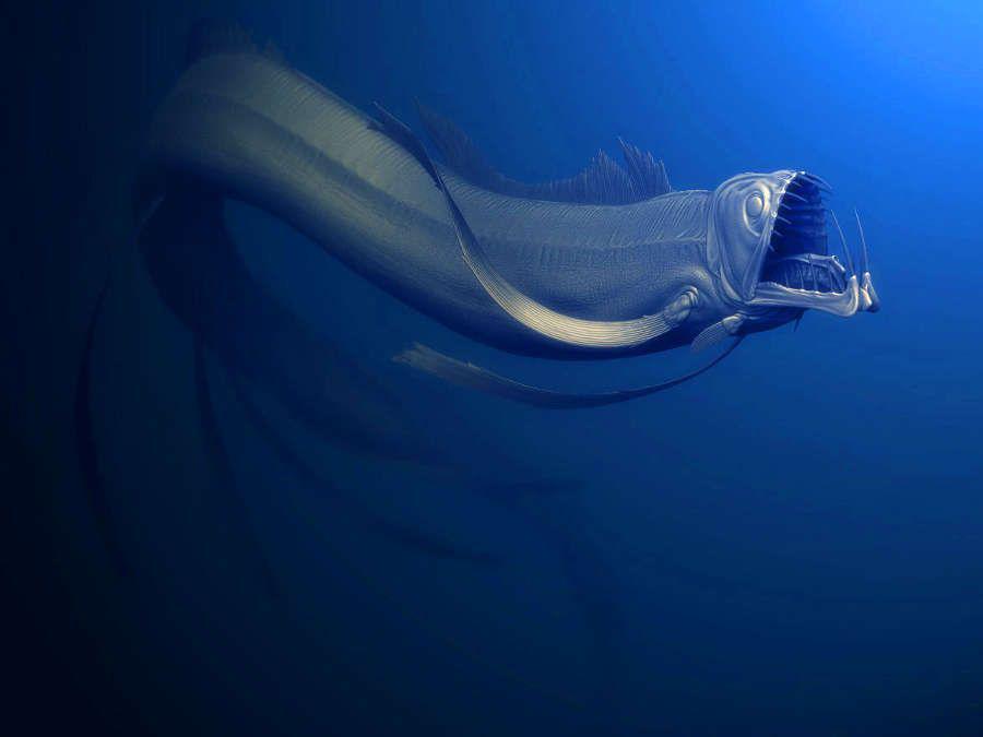 Глубоководные чёрные рыбы