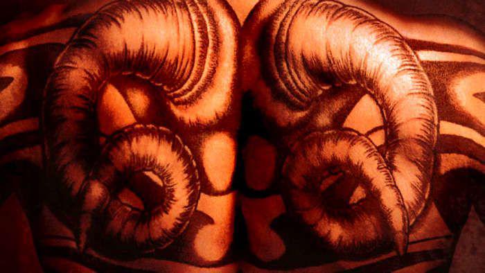 Тату дракон на спине