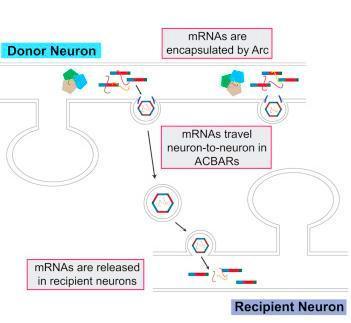 Тату научные 
