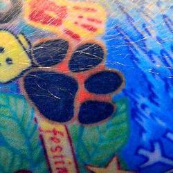 Эд Ширан тату