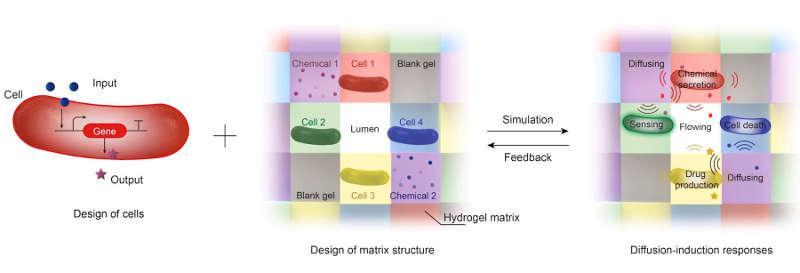 Тату биолюминисцентные