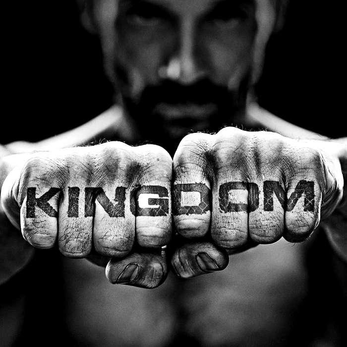 Тату Королевство MMA UFC Алви Кулина