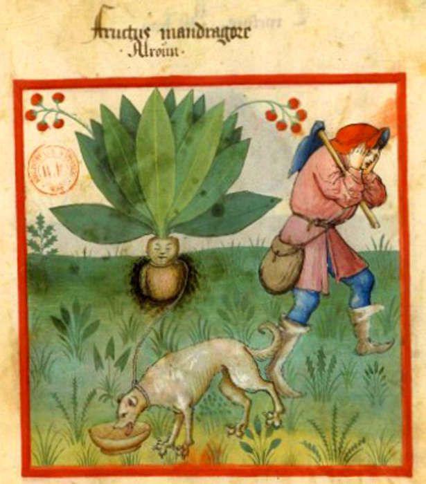 Тату магические 