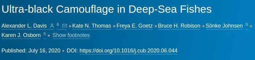 Ультра черный пигмент 