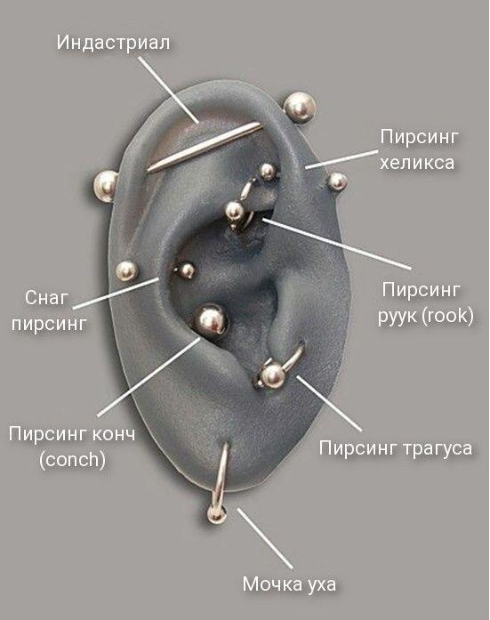 Проколы и разновидности пирсинга ушей – классификация и информация