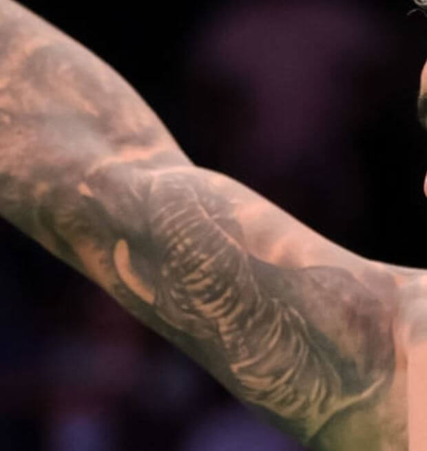 тату слон у Чарльза Оливейры