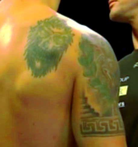 Тату Бриедис Майрис