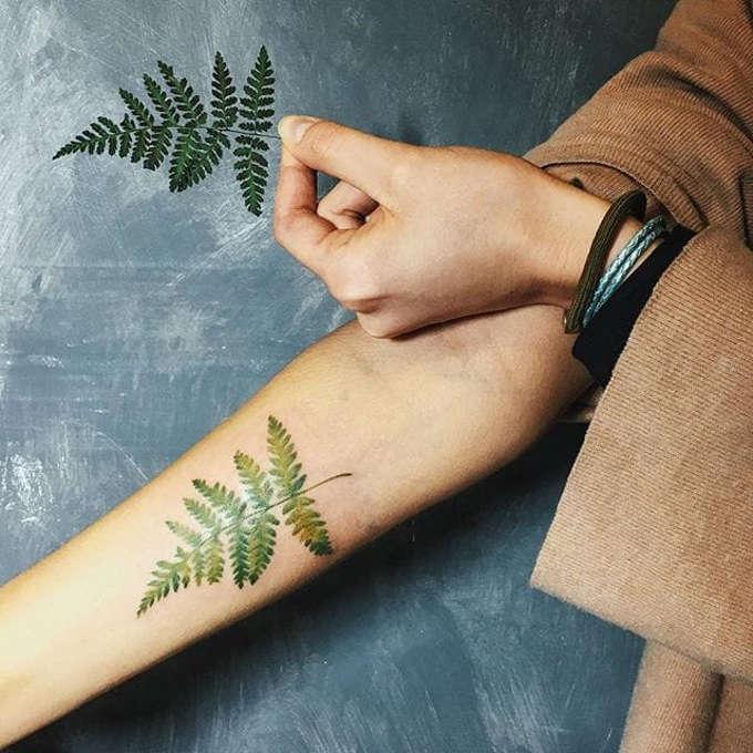 Тату папоротник