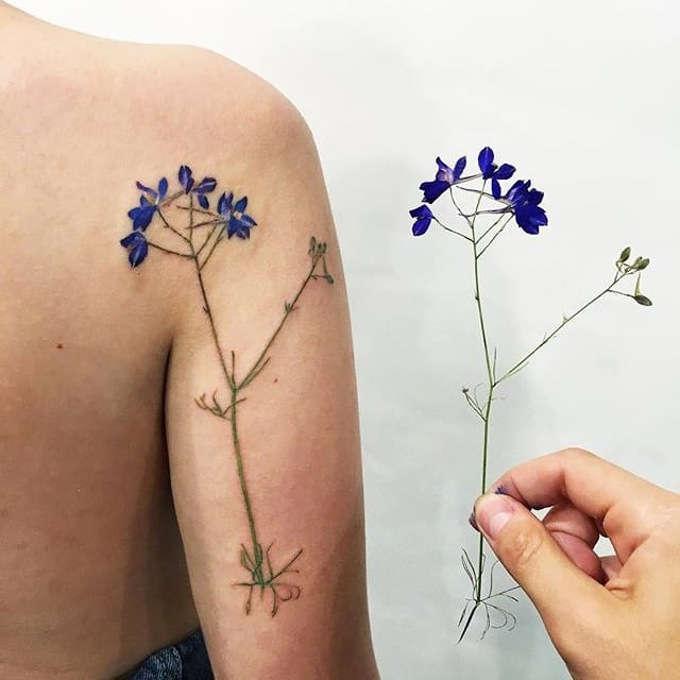 Тату травы луговые