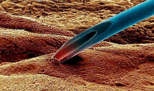 Пирсинг в микроскоп