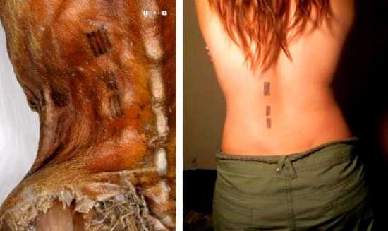 Тату лечебные