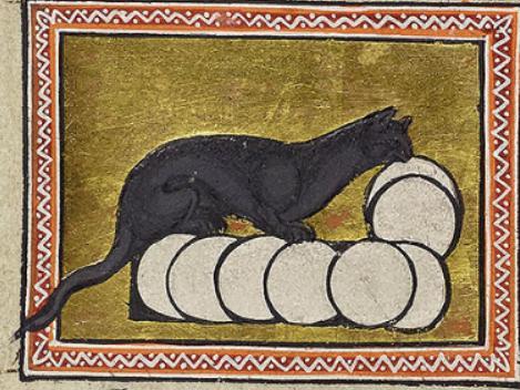 Тату абердинский бестиарий кошка