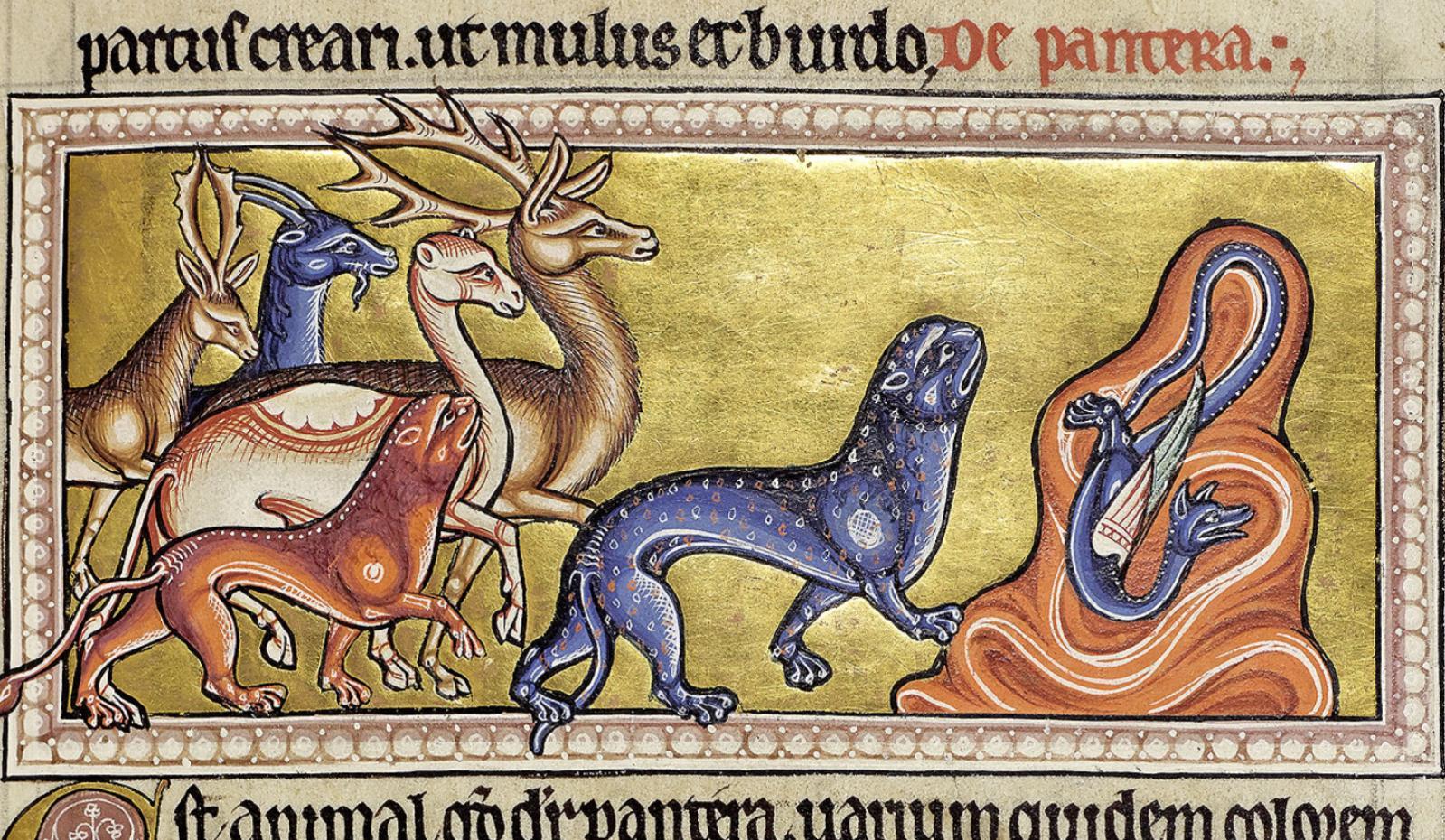 Тату Абердинский бестиарий Пантеры и Дракон