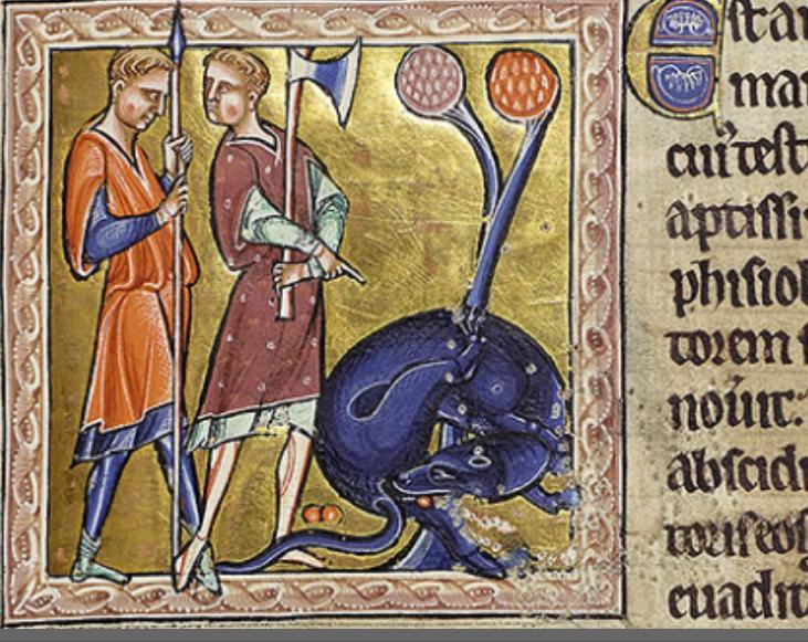 Тату абердинский бестиарий крокотт