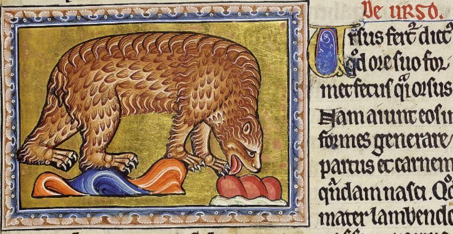 Тату бестиарий медведь