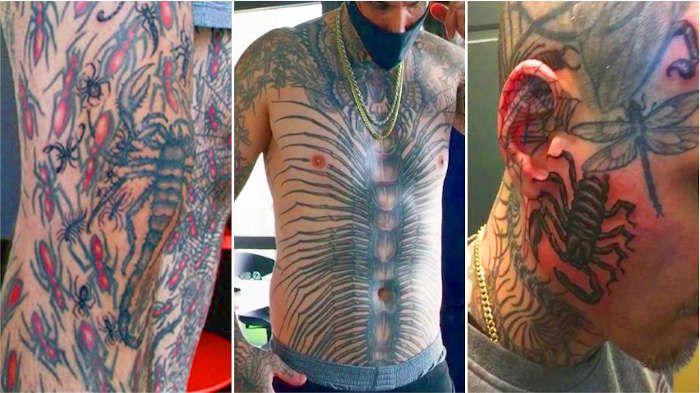 Новый рекорд Гиннесса по количеству насекомых на теле