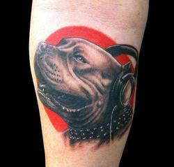 татуировка питбль / амстафф