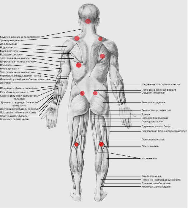 Татусоматика гнева