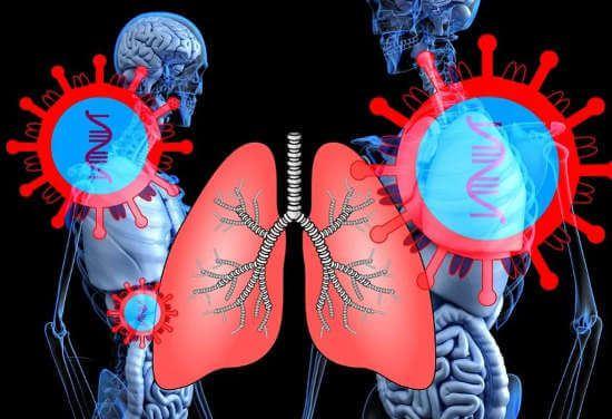 Безопасные санитайзеры и антисептики - как доверять составу