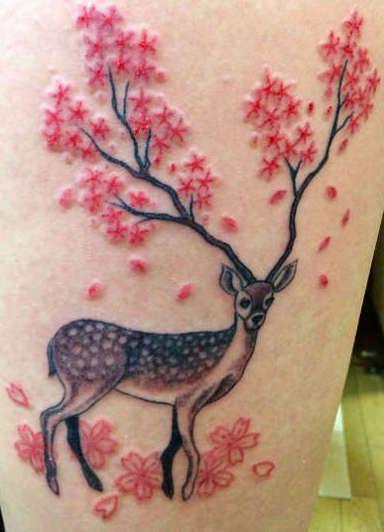 Псориаз, дерматит