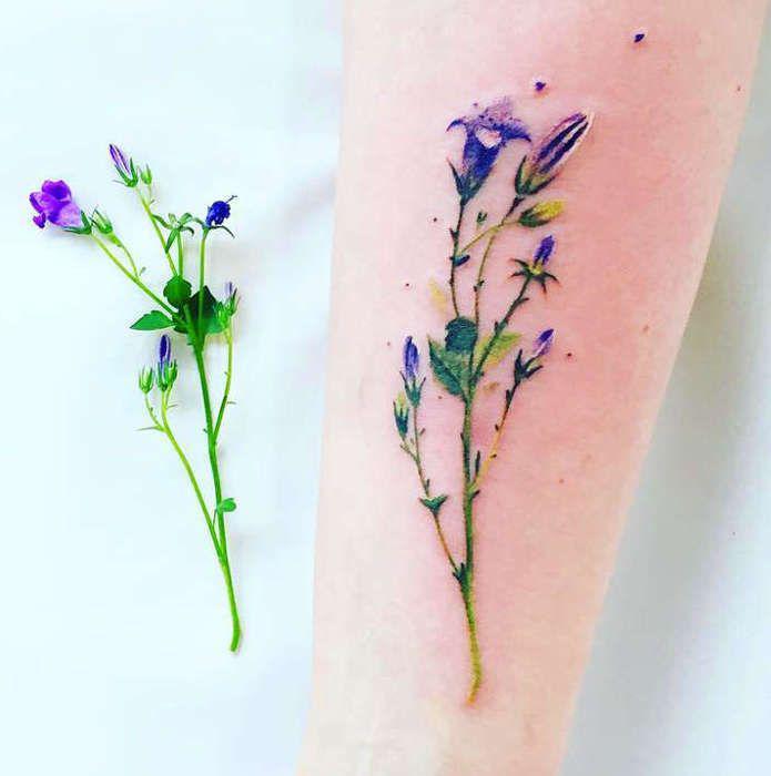 Ботаническая татуировка