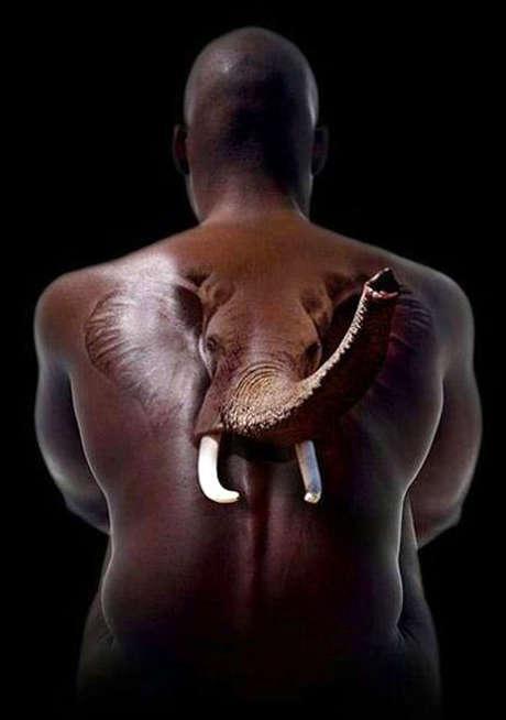 Лучшие тату - прекрасное пленяет навсегда