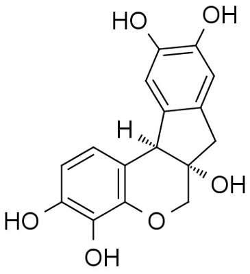 Чернила для татуировок Гематоксилин