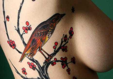 Тату птицы - значение, стили выражения маленькими птицами