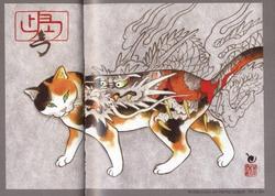 tattoo кошка самурая