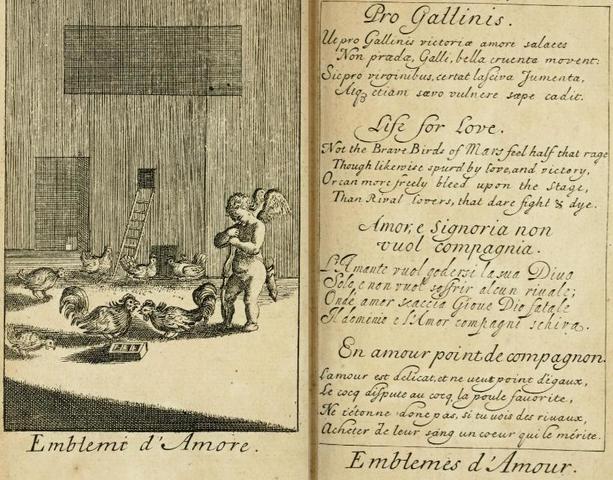 тексты эмблемы любви, на четырех языках: языки английский, французский, итальянский, латынь для тату