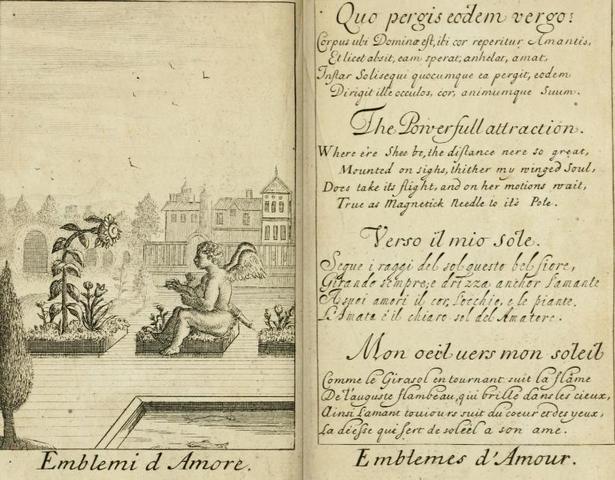 тексты эмблемы любви, на четырех языках: языки английский, французский, итальянский, латынь для тату