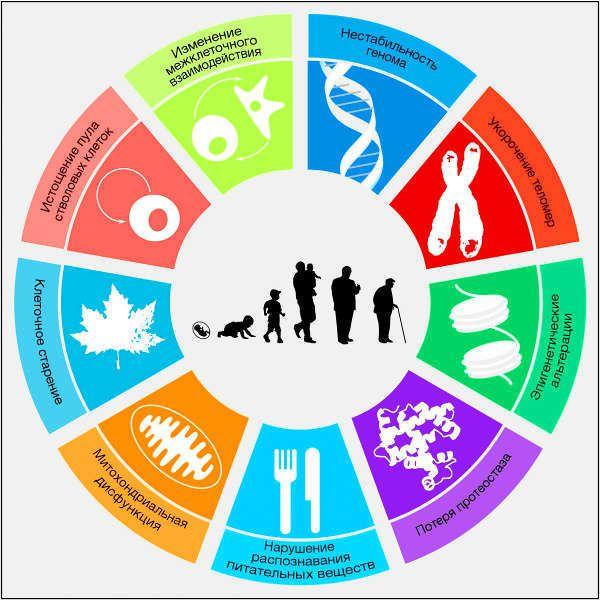 Омоложение тату солитоны