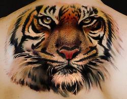 Тигр сибирский значение реализм