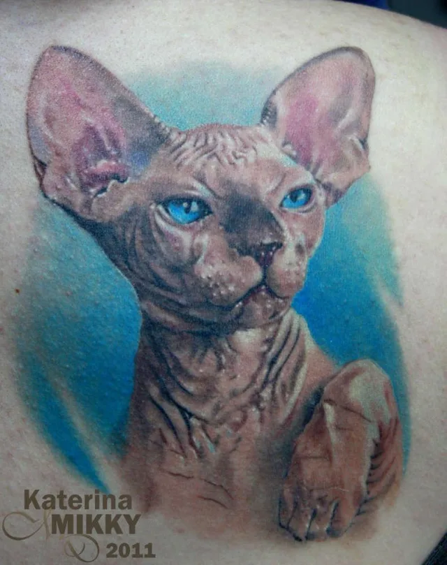 Тату кот голый