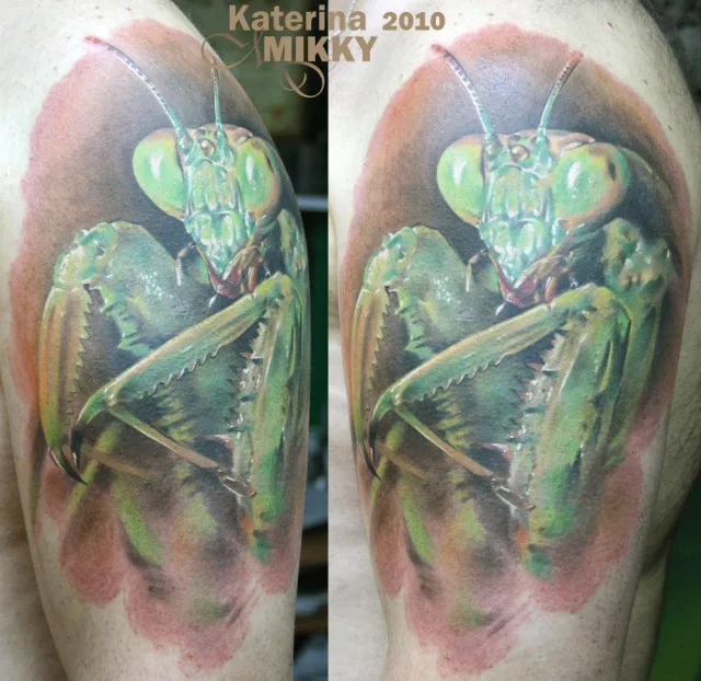 Тату богомол