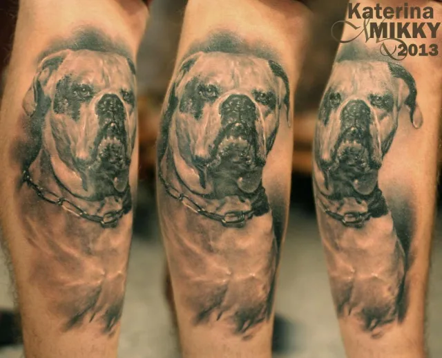 Тату бульдог