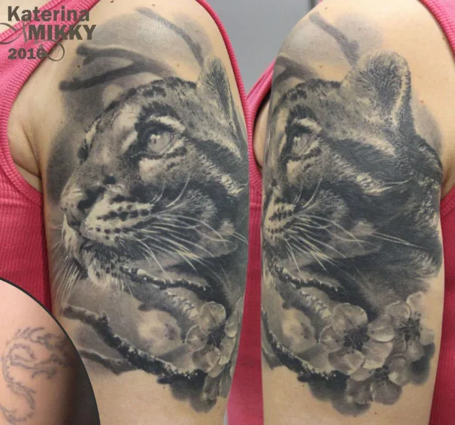 Тату тигр на сакуре Cover up