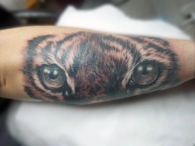 Тату тигр на предплечье